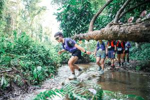 BIB: 
                            <button type="button" onclick="openModal(25474391)" class="btn btn-primary btn-sm float-right btn-popup" data-toggle="modal" data-target=".modal-high-quality">
                        <i class="fas fa-shopping-cart"></i> Add to Cart
                    </button>
                                            <button type="button" onclick="isThisMe(25474391, true)" class="btn btn-success btn-sm float-right btn-popup btn-isme hidden" data-toggle="tooltip" data-placement="bottom" title="นี่คือรูปของคุณใช่ไหม คลิกที่นี่เพื่อเอาเข้าอัลบั้ม">
                        <i class="fas fa-plus"></i> Add to album
                    </button>
                    <button type="button" onclick="isThisMe(25474391, false)" class="btn btn-warning btn-sm float-right btn-popup btn-isnotme hidden">
                        <i class="fas fa-ban"></i> Remove from album
                    </button>